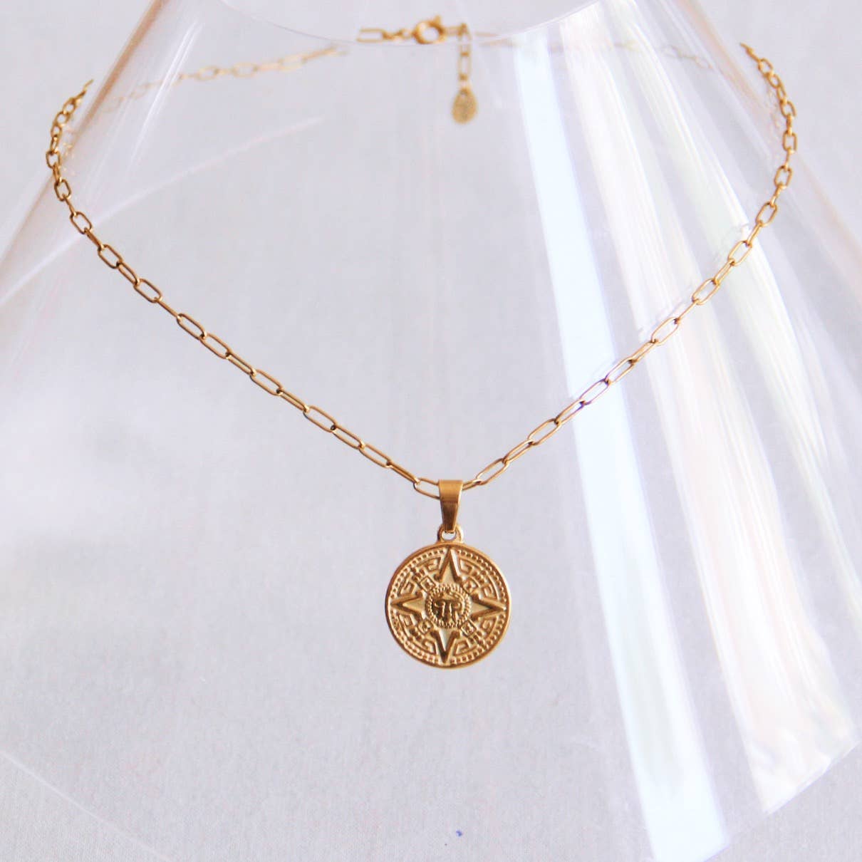 Chain necklace with large coin