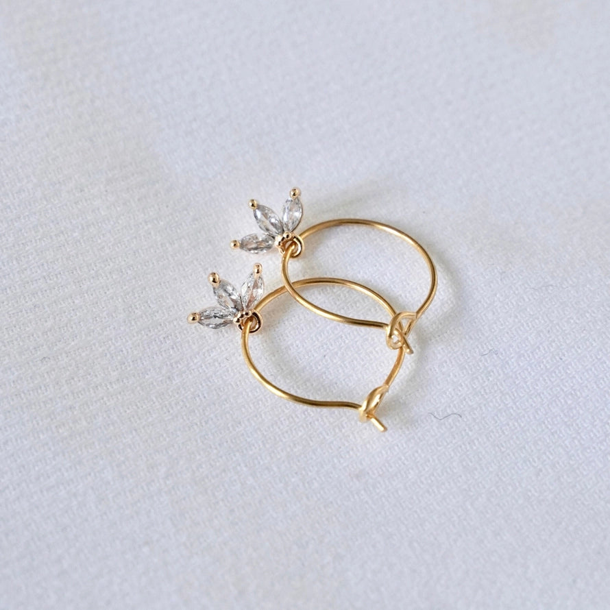Hoop Earrings with Crystal